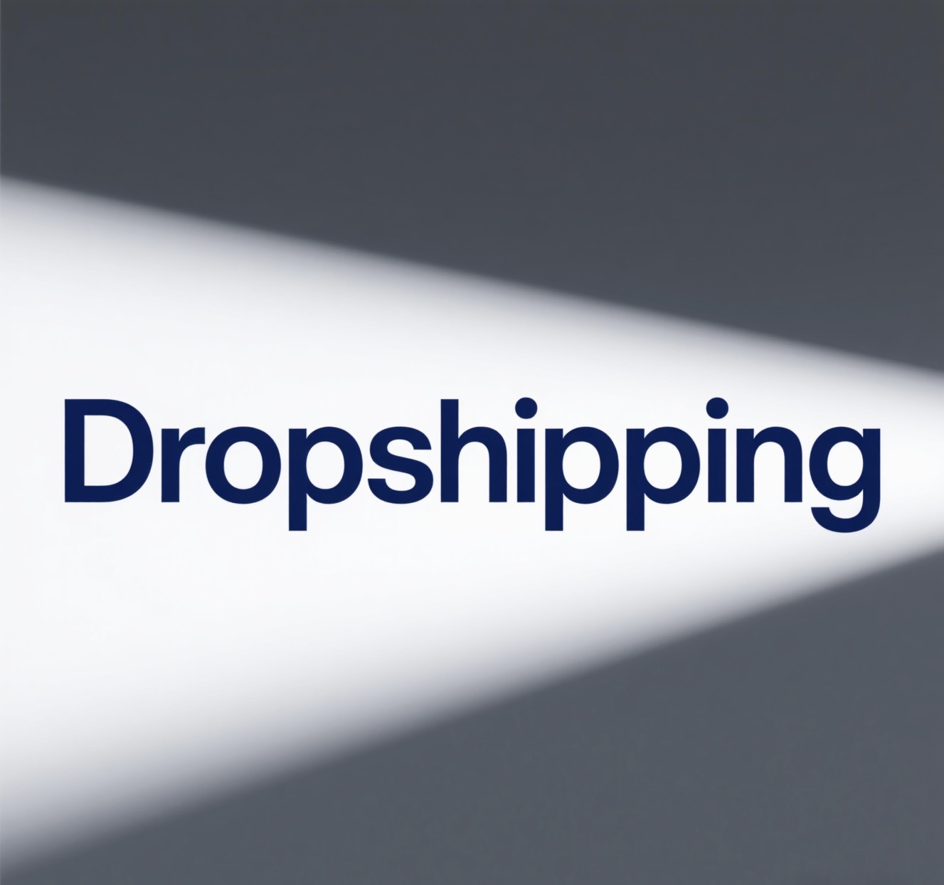 MooyeeDropship Working